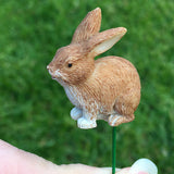 Fairy garden House set Miniature Figurines Kit Accessories Gnome Mood Lab