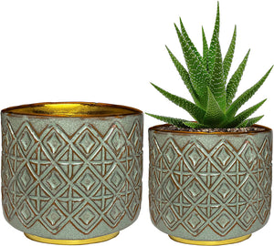 Mood Lab Flower Plant Pots - Pack of 2 Green/Gold pots - 5.5" and 4.3" Pots - Planters with Drainage Holes & 2 Plugs & 2 Meshes - Succulent, Cactus, Plants