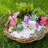 Fairy Garden Miniature Figurines - Fairy with Unicorn Set of 2 pcs - Decorations Statue Kit