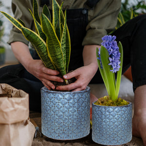 Flower Plant Pots - Pack of 2 Blue pots - 5.1" and 3.9" Pots - Planters with Drainage Holes & 2 Plugs & 2 Meshes - Succulent, Cactus, Plants