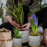 Mood Lab Plant Pots - Cement Planter Set of 3 Flower Pots 5.3"+3.9"+2.7" - Planters with Drainage Holes & 3 Plugs - Succulent, Cactus, Plants