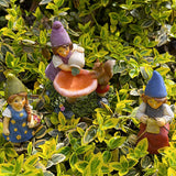 Miniature Garden Gnomes - Lady Gnomes Kit of 3 pcs - Figurines and Accessories Set