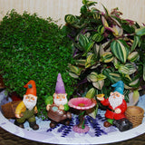 Garden Gnome House Fairy set Miniature Figurines Kit Accessories Mood Lab