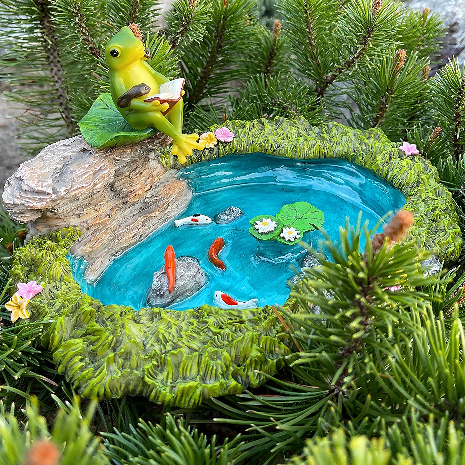 Fairy Garden Fish Pond Kit - Miniature Pond with Frog Figurine - 2 pcs –  Mood Lab